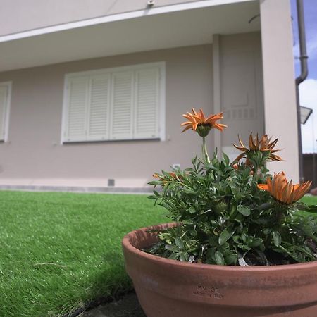 L'Angolo Verde Cascina Eksteriør billede